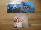 3 LPs   Roxy Music   Siren   Avalon   Flesh + Blood   Rock/Synth Pop