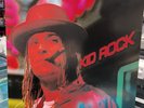 Kid Rock Devil Without a Cause Vinyl Record 2015 NM/NM