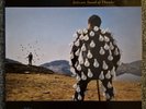 Pink Floyd Delicate Sound of Thunder 2 x LP First Press NM Vinyl