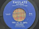 EMULATIONS - These Are The Things / HOLY GRAIL RARE SWEET SOUL BAY AREA 45 EX