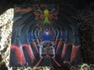 MONSTROSITY imperial doom BLUE VINYL LP  cannibal corpse deicide obituary
