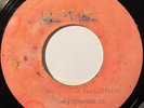 ERROL DUNKLEY This Train REGGAE SOUL BLANK 45 *hear*