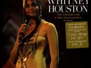 Whitney Houston - Celebrating Freedom - Durba (Vinyl 2LP - 2024 - EU - Original)
