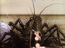 Birth Control - Operation (Vinyl LP - 1971 - EU - Reissue)