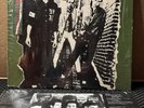 The Clash: Self-Titled Vinyl Record Album LP 1979 (JE-36060) In Shrink / EX