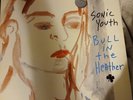 Sonic Youth Bull In The Heather Silver 10