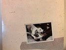 FLEETWOOD MAC - Tusk (w/InnerSleeves) (1979) - 12