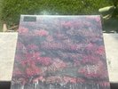 Sleep Token Even in Arcadia Magenta Blend revolver exclusive record Vinyl 1/2500