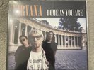 Nirvana - Rome As You Are, Vinyl Record, LP