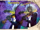 iron Maiden / picture disc vinyl