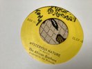 African Brothers , Mysterious Nature  , 7”Clef.