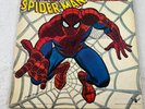 1972 AMAZING SPIDER-MAN From Beyond The Grave BUDDAH RECORDS with POSTER Album
