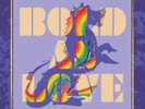 The Jimi Hendrix Experience Bold As Love (Box Set) (Vinyl)