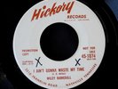 WILEY BARKDULL  I Ain't Gonna Waste My Time country rockabilly '58 Hickory promo