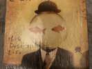 Counting Crows This Desert Life Vinyl Record 1999 Original With OG Shrink wrap