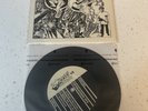 Operation Ivy 7