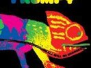 frumpy: all will be changed  LP