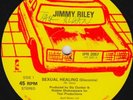 Jimmy Riley - Sexual Healing / Search And Destroy, 12