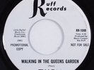 Garage Mod 45 THEM Walking In The Queens... RUFF VG++ promo van morrison HEAR l