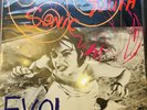 Sonic Youth Evol - SST 059 First Issue Mint Vinyl
