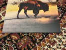 Robert Plant With Suzi Dian ‎Saving Grace Europe 2025 Fruit Punch Vinyl SIGNED