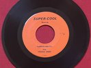THE YOUNG ONES TOO MUCH LOVIN/HARBOR MELONS (1967) RARE GARAGE ROCK 45 VG+