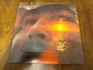 David Crosby If I Could Only Remember My Name Atlantic SD 7203 Vinyl LP RE SP