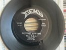The F.B.I. – What Am I To Do 1967 Gemini Mod Garage Rock 45rpm Vinyl