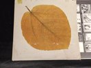 Pete Jolly - Seasons 1970 A&M lp OG 1st Promo Rare Groove Jazz Funk Psych