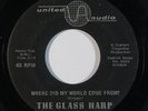 Garage/Psych 45 GLASS HARP Where Did My World Come From?/She Told Me on United