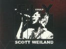 WEILAND, Scott - If I Could Fly - limited white vinyl 7