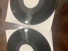 Sufjan Stevens-Enjoy Your Rabbit-White Label Test Press-M/M