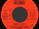 NEW ESTABLISHMENT IN SOUL Whip It / Foolish Fool 45 Grant's Rare 1970 Iowa Funk