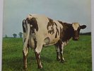 Pink Floyd Atom Heart Mother LP Harvest SHVL781 VG/EX- 1970s EMI Records Ltd ...