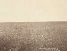 The Milk Carton Kids The Ash & Clay (Vinyl) 12