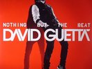 GUETTA, David - Nothing But The Beat - Vinyl (gatefold 2xLP)