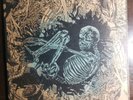 1st Press Ceschi Pat The Bunny Split  LP VINYL 2016 Record Ramshackle Glory