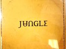 Jungle For Ever LP Album vinyl record 2018 on XL Recordings Nu Disco black