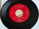 Dee Robb & The Robbins -Say That Thing- Garage 45 on Score - Hear