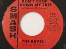 The Raves - Don't Chop Down My Tree / Think Of Your Love. 45 Smash. 1967. Garage