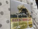 Odelay - Beck Vinyl LP (2016) Geffen Records