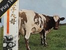 Pink Floyd – Atom Heart Mother Japan LP EMS-80320 OBI Insert VG+