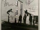 The Lathums – How Beautiful Life Can Be Zoetrope Blood Records Vinyl Signed New