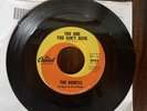 The Honeys  - The One You Can’t Have - 1963 - Capitol 5093 - VG+ B Wilson READ