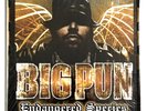 Big Pun – Endangered Species x 2LP Album Vinyl Record -OG Press Near Mint / Mint