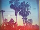 Keanu Reeves HAND SIGNED Dogstar ‘Somewhere Between The Power Lines’ 12’’ Vinyl