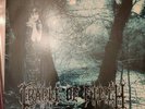 Cradle Of Filth  Dusk And Her Embrace Peaceville  VILELP315 2x LP rare LTD nmb
