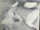 Donald Byrd Free Form Blue Note BLP-4118