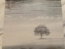 Genesis LP Wind And Wuthering Charisma Records Excellent Condition
