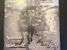 Lana Del Rey - Norman Rockwell NFR PINK Urban Outfitters Vinyl 2xLP NEW sealed